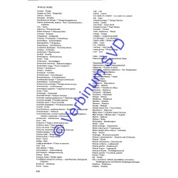 NOWY LEKSYKON TEOLOGICZNY