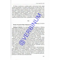 Stefan Wrosz SVD t. 2