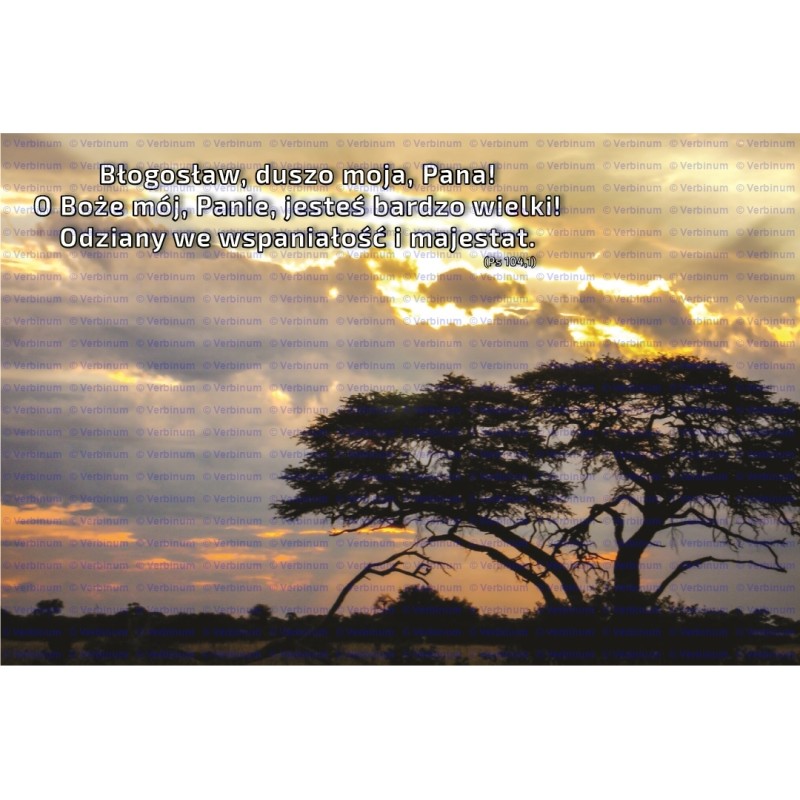 Zakładka do książki (8)