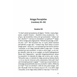 Safenat Paneach - – wezyr Egiptu