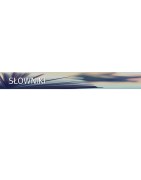 Słowniki