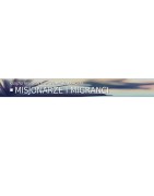 Misjonarze i migranci